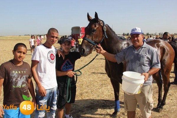 horse race 0602 (78).JPG